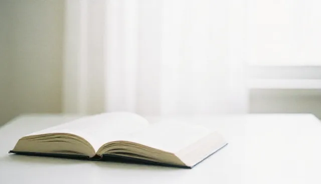 系统兼容性优化方案设计中的关键环节解析